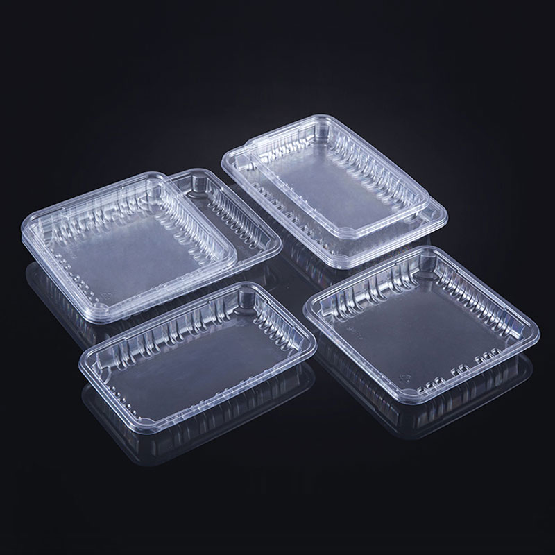 WH-105 transparent trays for fresh fruits and vegetables